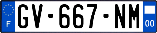 GV-667-NM