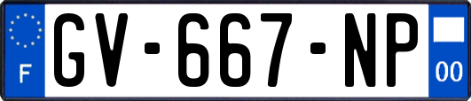 GV-667-NP