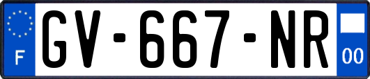 GV-667-NR