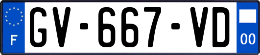GV-667-VD