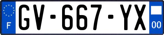 GV-667-YX