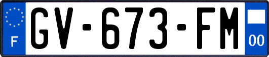 GV-673-FM
