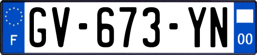GV-673-YN