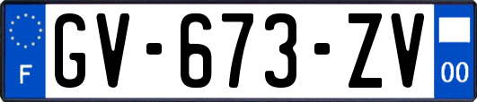 GV-673-ZV