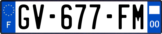 GV-677-FM