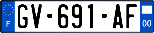 GV-691-AF