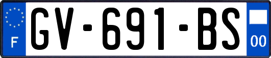 GV-691-BS