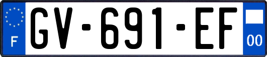 GV-691-EF