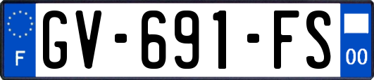GV-691-FS