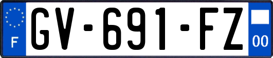 GV-691-FZ