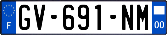 GV-691-NM