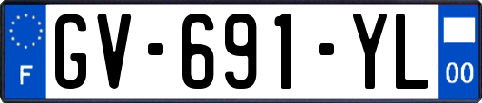 GV-691-YL