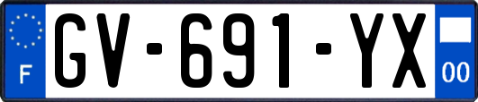 GV-691-YX