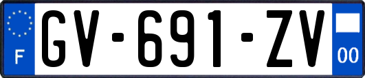 GV-691-ZV