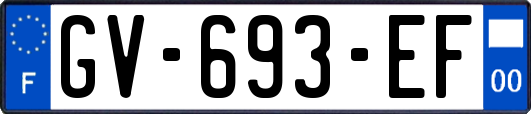 GV-693-EF