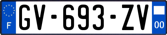 GV-693-ZV