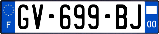 GV-699-BJ