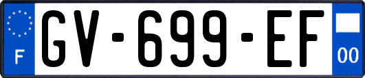 GV-699-EF