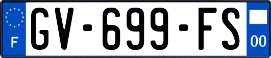 GV-699-FS