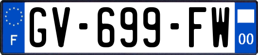 GV-699-FW