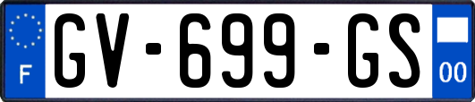 GV-699-GS