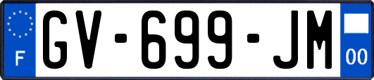 GV-699-JM