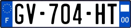 GV-704-HT