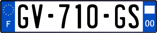 GV-710-GS