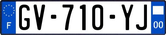 GV-710-YJ