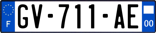 GV-711-AE
