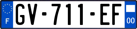 GV-711-EF