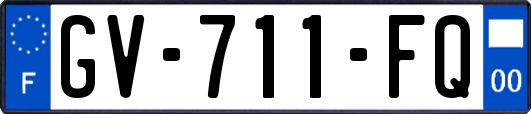 GV-711-FQ