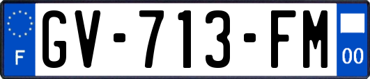 GV-713-FM