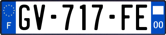 GV-717-FE