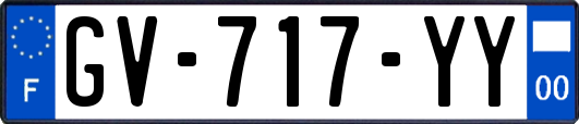 GV-717-YY
