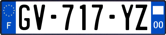 GV-717-YZ