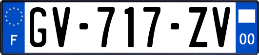 GV-717-ZV