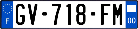 GV-718-FM