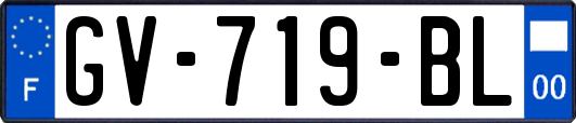 GV-719-BL