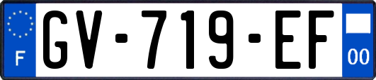 GV-719-EF