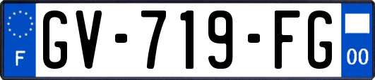 GV-719-FG