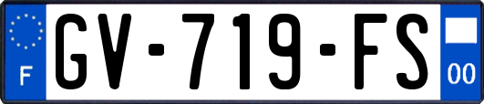 GV-719-FS
