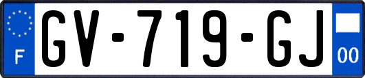 GV-719-GJ