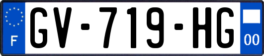 GV-719-HG