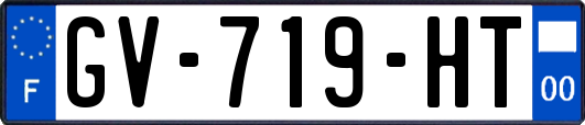 GV-719-HT