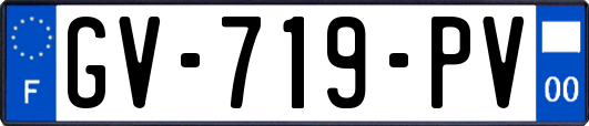 GV-719-PV