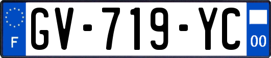 GV-719-YC