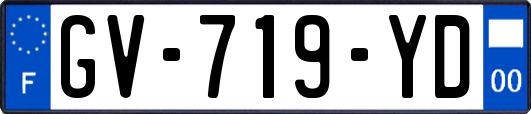 GV-719-YD