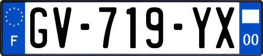 GV-719-YX