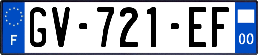 GV-721-EF